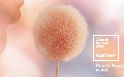 Peach Fuzz, la couleur Pantone 2024